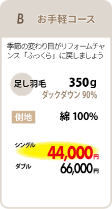 羽毛リフォームB　お手軽コース　足し羽毛350ｇ　シングル44,000円