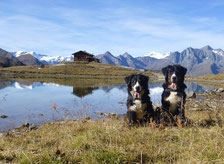 Zupalseehütte, Lasörlinggruppe, Virgental