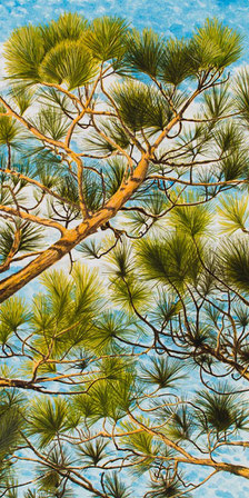 Acrylic painting of Carolina blue clouds seen through the pines - "Reaching"