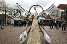 Der Maibaum: fertig geschmückt und klar zum Hochziehen (Foto: Kirchhoff/HGV)