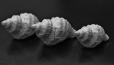Crushing 3D printed shells in a mechanical loading frame