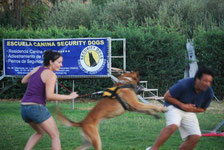 15 minutos con Security Dogs Madrid, pinchando en la foto.