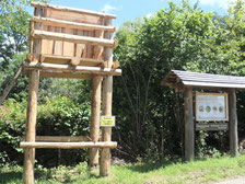 Foto: Albert Brodbeck/NABU Metzingen