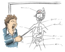 anatomie du plongeurs