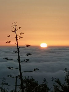 Waldbaden, Shinrin Yoku, Achtsamkeit, Männerrunde, Shinrin Yoku, Mitakuye Oyasin, Naturcoaching, Naturcoach, Daniel Hauser, Uster, Coach, Coaching, Meditation