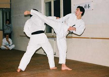 Sensei Camillini preforming 'Ushiro Maewashi Geri'