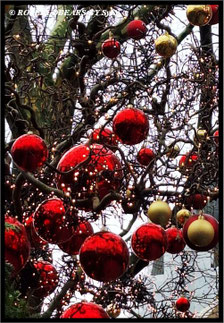 Weihnachtskugeln im Baum