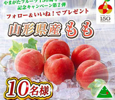 山形県産もも プレゼント