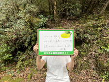 コマドリも紀元杉も一人じめで最高にいやされました。自然のパワーいただいてありがとう屋久島