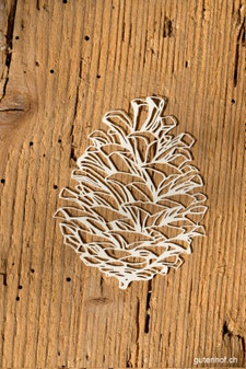 Laser Cut, Laser Cuts, Artoz, Deko für Geschenke, Deko für Karten, Tannzapfen, Tannenzapfen, Weihnachten, Föhren