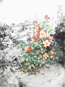 „Rose von Rojava“, Kohle, Stifte und Aquarell auf Papier, 61 × 46 cm, 2020