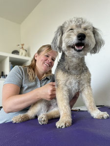 Tierphysio - damit Bewegung (wieder) Freude macht!