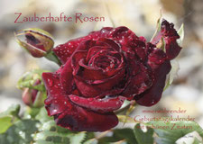 Zauberhafte Rosen 