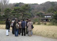 三渓園の散策