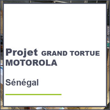 projet Grand Tortue Motorola