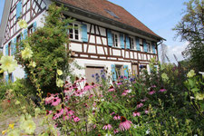 Foto Max Dechant
