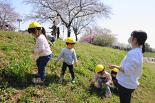 公園で花を摘む子ども達
