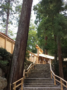 新しい御正宮　天照大御神がいらっしゃいます