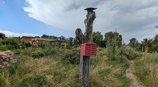 Blick in den NABU-Naturgarten in Bingen. Im Vordergrund sieht man einen senkrechten Baumstamm, an dem ein Nistkasten für Florfliegen hängt. Im Holzstamm sind Löcher für Wildbienen zu erkennen. Hinten sieht man einen Natursteinhaufen und Sträucher. 