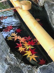 加佐登神社：紅葉