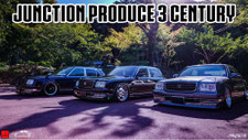 JUNCTION PRODUCE 3 x CENTURY