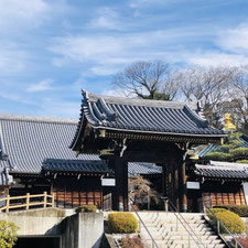 多治見市 本町 オリベストリート 織部 駐車場 カレー ランチ カフェ 喫茶店 レストラン  やくも やくならマグカップも コンセプトカフェ タジミールゴー TAJIMEALGO こやこや こやかふぇ KoyaCafé ビール テイクアウト