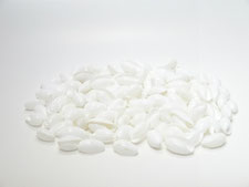  バブルスシェル  世界の貝殻 自然素材　卸売通販 サンゴ サンゴ砂　シェルパーツ ヒトデ ウニ殻 ビーチグラス カピス貝 格安 ecocraft 岐阜 工作 ハンドメイド アクセサリー フラワーアレンジメント 小さい 白い キラキラ かわいい ウェディング・席札 お皿 ディスプレイ　丸い 