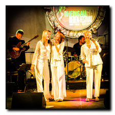 2009 Rheingau Reben Festival