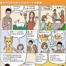 ナツメ社『チワワの飼い方しつけお手入れのすべて』犬　チワワ　イラスト　コミック　漫画