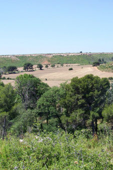 paysage agricole et naturel Provence examen cas par cas
