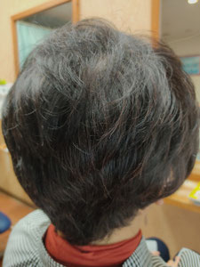 根元シコン色で毛先ヘナ