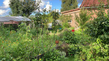 Waldbaden, Relaxen, Entspannen, Bauerngarten