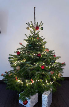 Geschmuckte Tannen Echte Fertig Geschmuckte Weihnachtsbaume Christbaume Online Kaufen