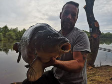 acrocarpe étang pêche carpe no-kill Somme