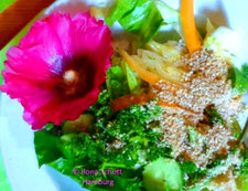 Rohkostsalat mit Stockrosen-Blüte