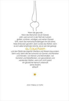 JW-1101 mit Goldfolienprägung