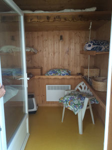 chambre pension ecole du chat neuvecelle haute savoie 