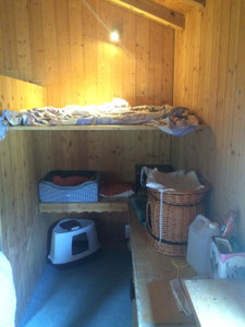 chambre pension ecole du chat neuvecelle haute savoie 