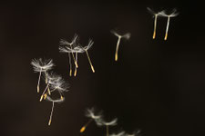 Foto: Wilfried Keller
