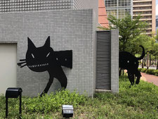 2019/06 PHOTO