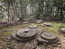 2020/02 PHOTO