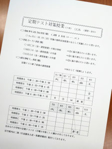 個人別【定期テスト対策授業】日程表 (見本)
