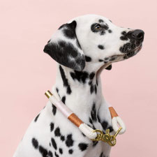 hundsoadli Baumwolle Halsband rosa