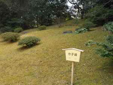 巾子峰