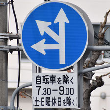 異形矢印標識(指定方向外進行禁止)。広島県府中町にある。