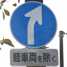 異形矢印標識(指定方向外進行禁止)。静岡県藤枝市にある。