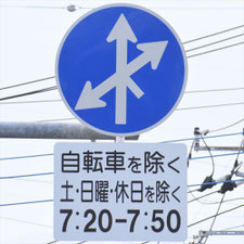 異形矢印標識(指定方向外進行禁止)。茨城県ひたちなか市にある。