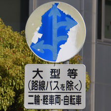 異形矢印標識(指定方向外進行禁止)。茨城県つくば市にある。