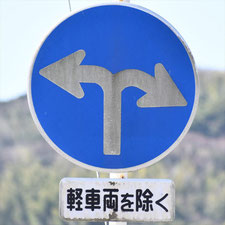 異形矢印標識(指定方向外進行禁止)。静岡県伊東市にある。