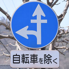 異形矢印標識(指定方向外進行禁止)。栃木県足利市にある。